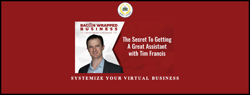 Systemize Your Virtual Business from Tim Francis