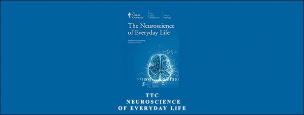 TTC – Neuroscience of Everyday Life – sup3r edition
