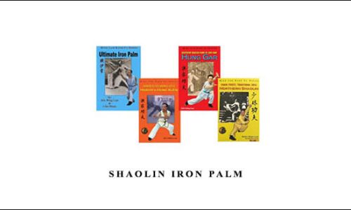 Wing Lam – Shaolin Iron Palm