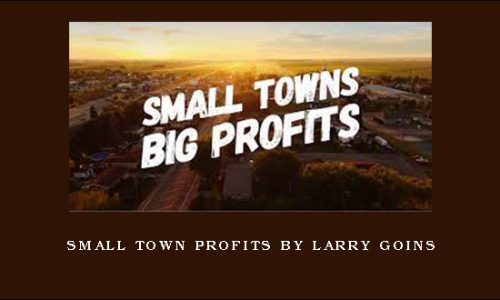 Small Town Profits by Larry Goins
