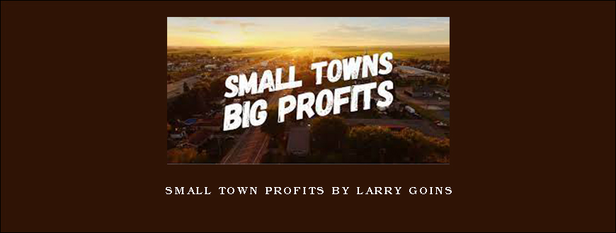 Small Town Profits by Larry Goins