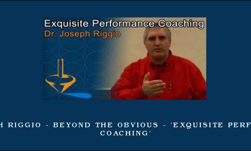 Dr Joseph Riggio – Beyond The Obvious – ‘Exquisite Performance Coaching’