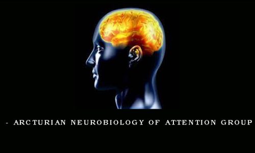 Gene Ang – Arcturian Neurobiology of Attention Group Healings