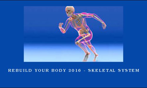 Rebuild Your Body 2016 – Skeletal System