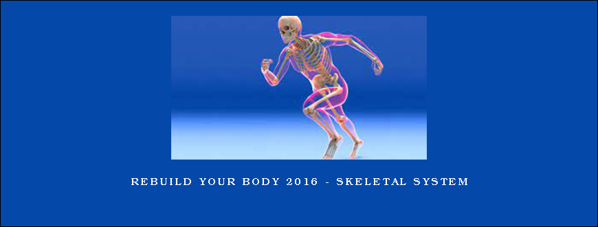 Rebuild Your Body 2016 - Skeletal System