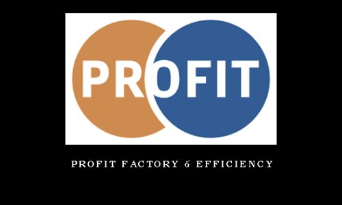 Profit Factory – Efficiency