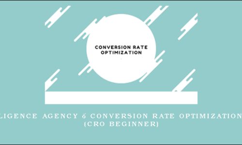 SEO Intelligence Agency – Conversion Rate Optimization Beginner (CRO Beginner)