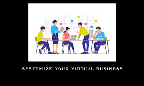 SYSTEMIZE YOUR VIRTUAL BUSINESS