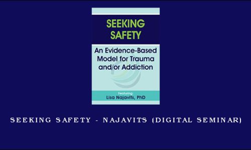 Seeking Safety – NAJAVITS (Digital Seminar)