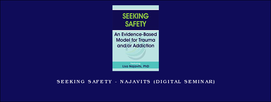 Seeking Safety - NAJAVITS (Digital Seminar)