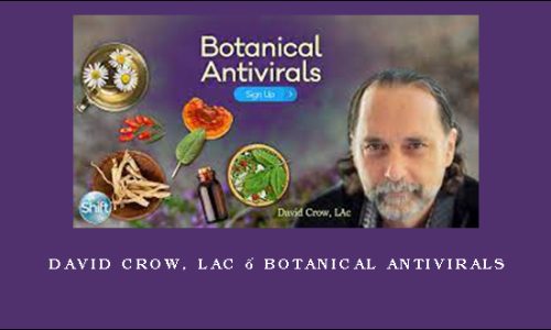 David Crow, LAc – Botanical Antivirals