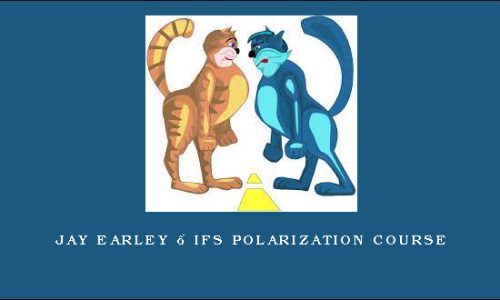Jay Earley – IFS Polarization Course