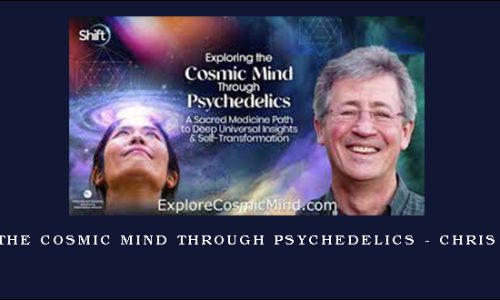 Exploring the Cosmic Mind Through Psychedelics – Chris Bache, PhD