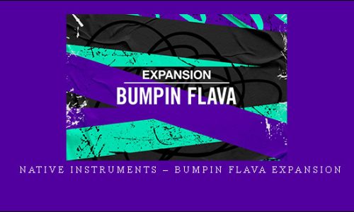 Native Instruments – Bumpin Flava Expansion