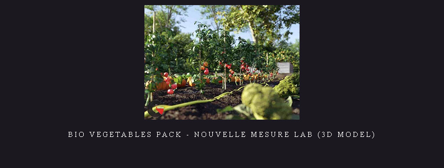 Bio Vegetables Pack – Nouvelle Mesure Lab (3d model)