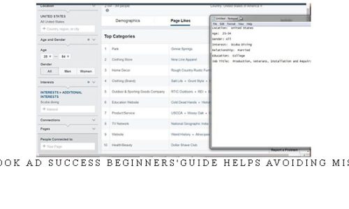 Facebook Ad Success Beginners’guide Helps Avoiding Mistakes