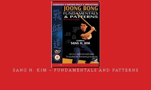SANG H. KIM – FUNDAMENTALS AND PATTERNS – Digital Download