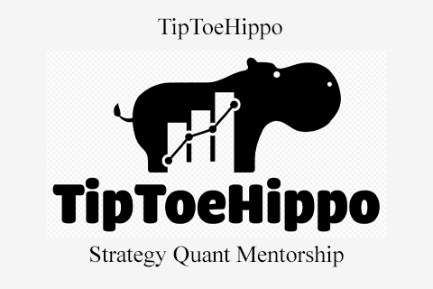 TipToeHippo – Strategy Quant Mentorship