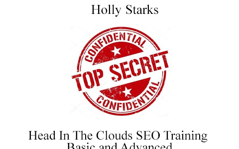 Head In The Clouds SEO Training Basic and Advanced by Holly Starks